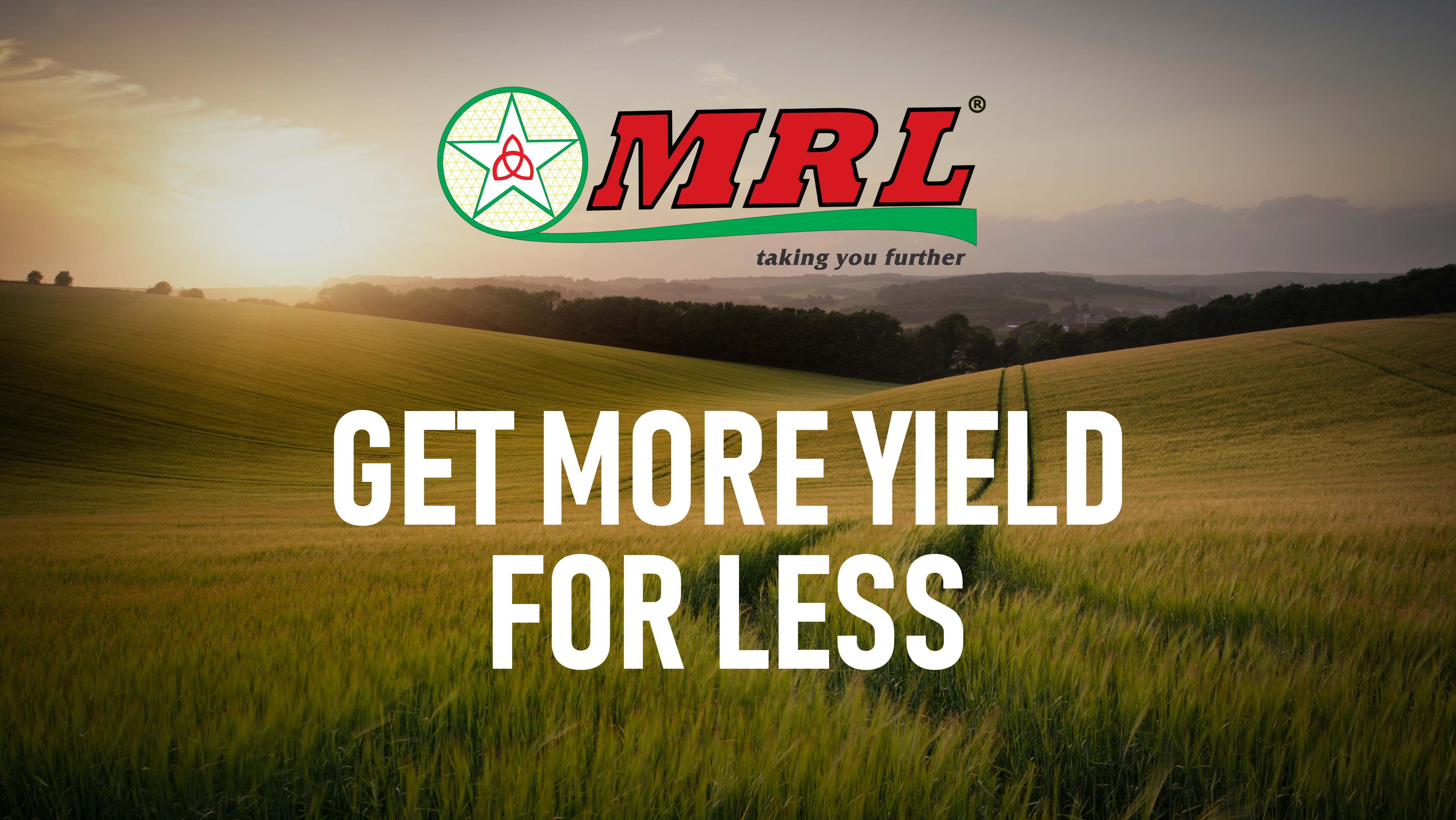 MRL Banner Copy